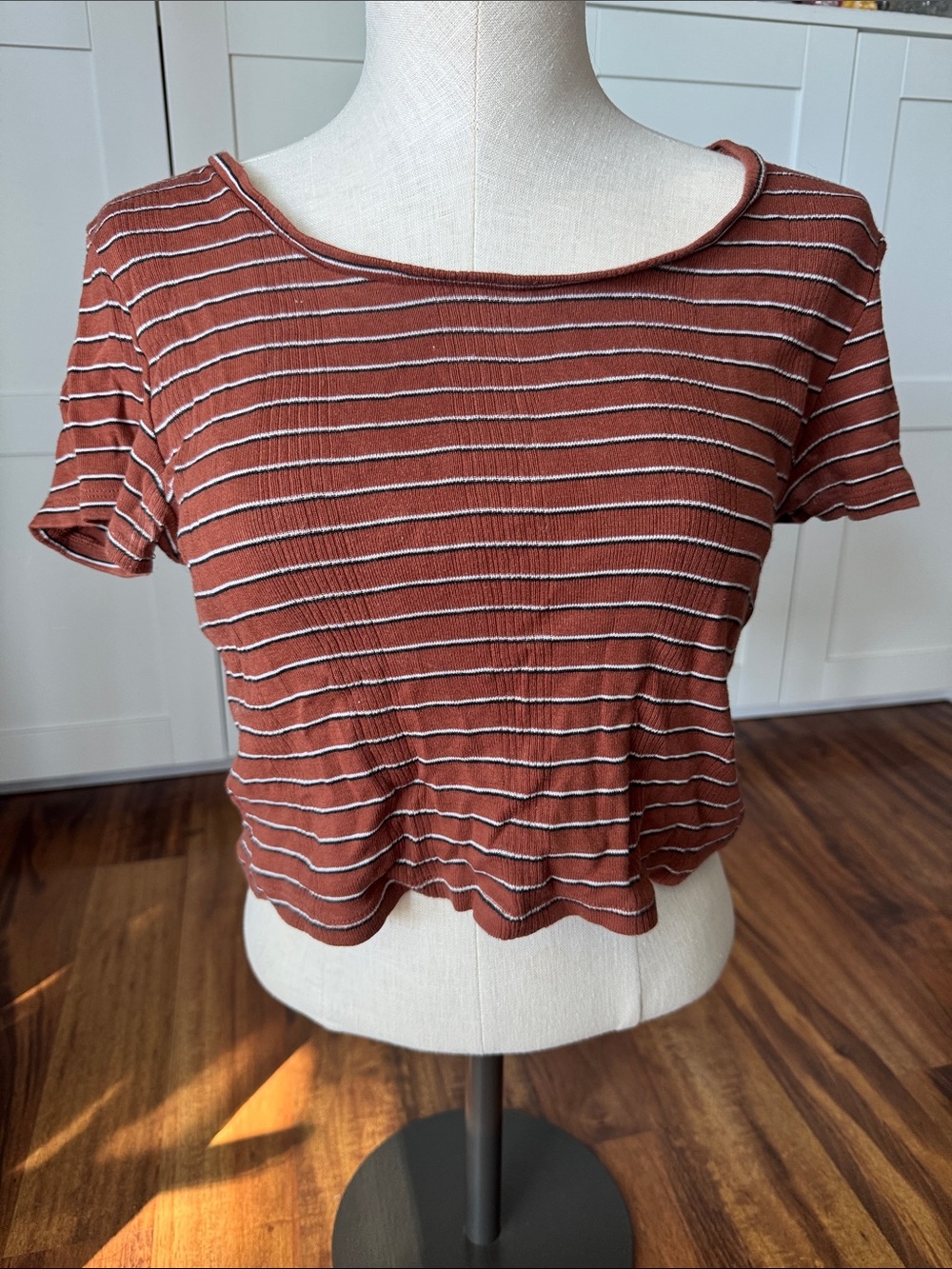 American Eagle Outfitters Rust and White Striped Cropped Tee